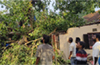Udupi: Couple injured following a banyan tree fell on their house